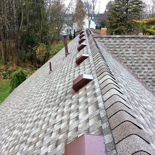 اجرای شینگل در گیلان